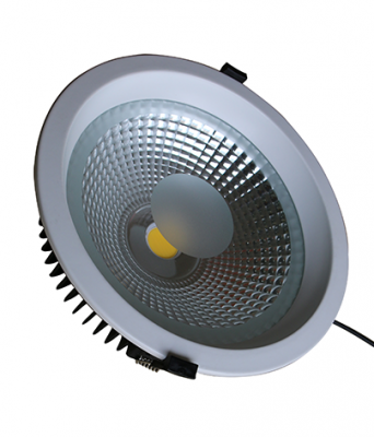 Светильник Downlight DW2025