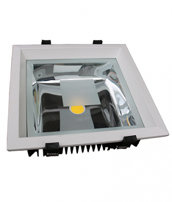 Светильник Downlight DW2024